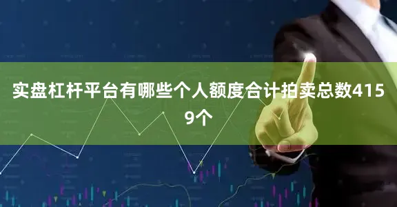 实盘杠杆平台有哪些个人额度合计拍卖总数4159个