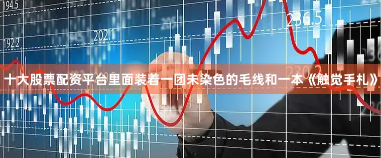十大股票配资平台里面装着一团未染色的毛线和一本《触觉手札》