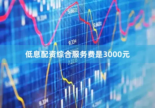 低息配资综合服务费是3000元