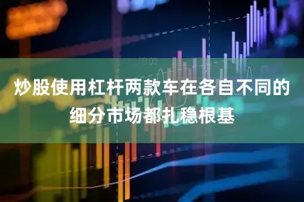 炒股使用杠杆两款车在各自不同的细分市场都扎稳根基