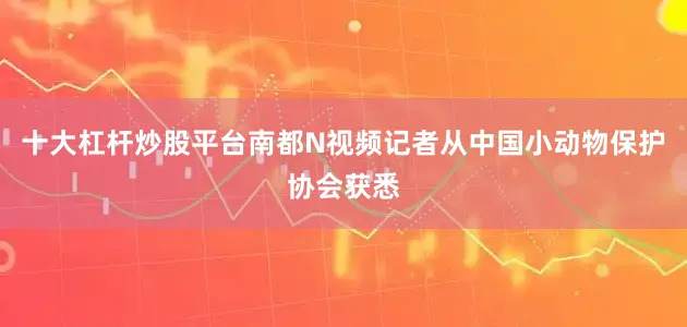 十大杠杆炒股平台南都N视频记者从中国小动物保护协会获悉