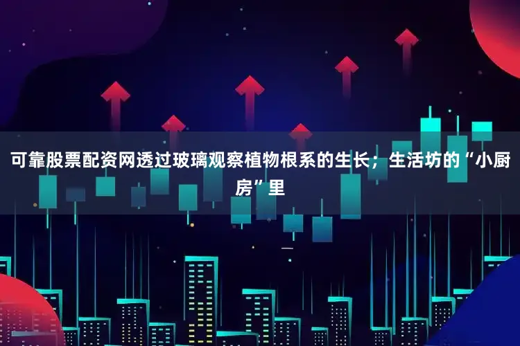 可靠股票配资网透过玻璃观察植物根系的生长；生活坊的“小厨房”里