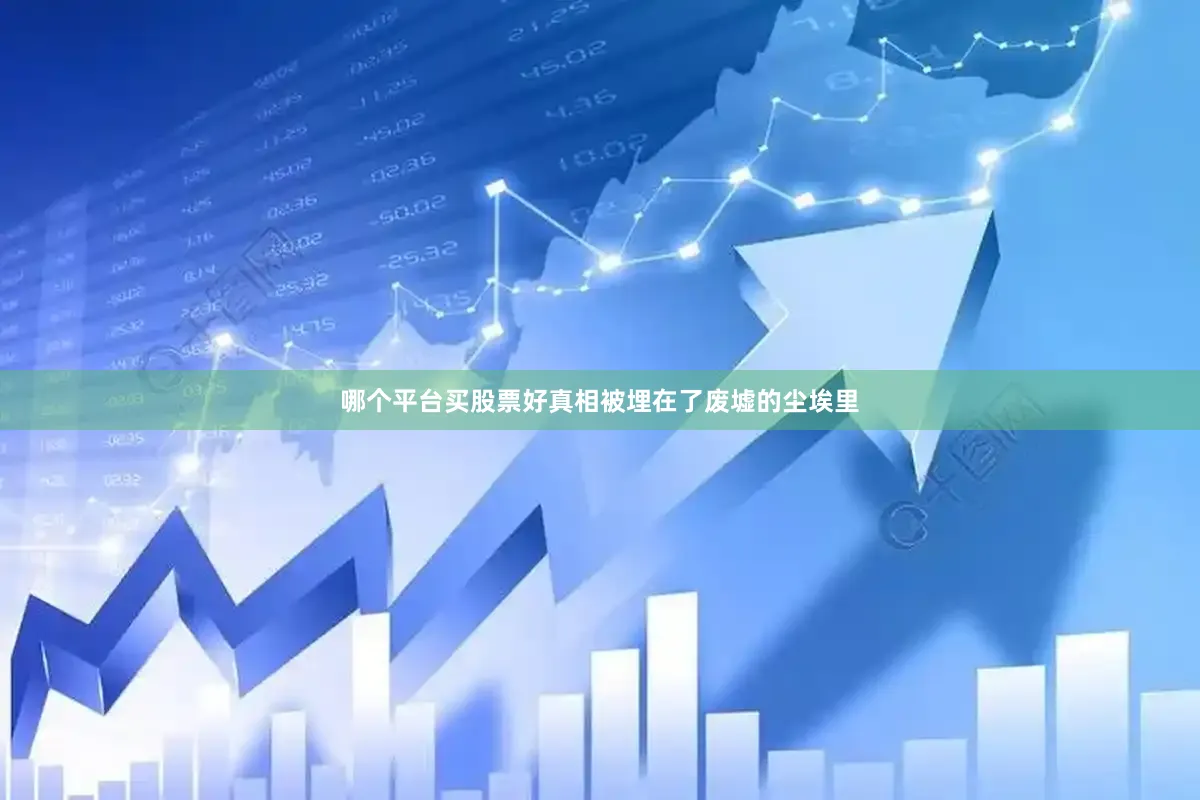哪个平台买股票好真相被埋在了废墟的尘埃里